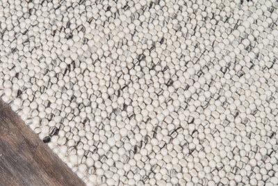 Momeni Andes AND-8 Ivory Hand Woven Area Rug