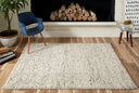 Momeni Andes AND-8 Ivory Hand Woven Area Rug