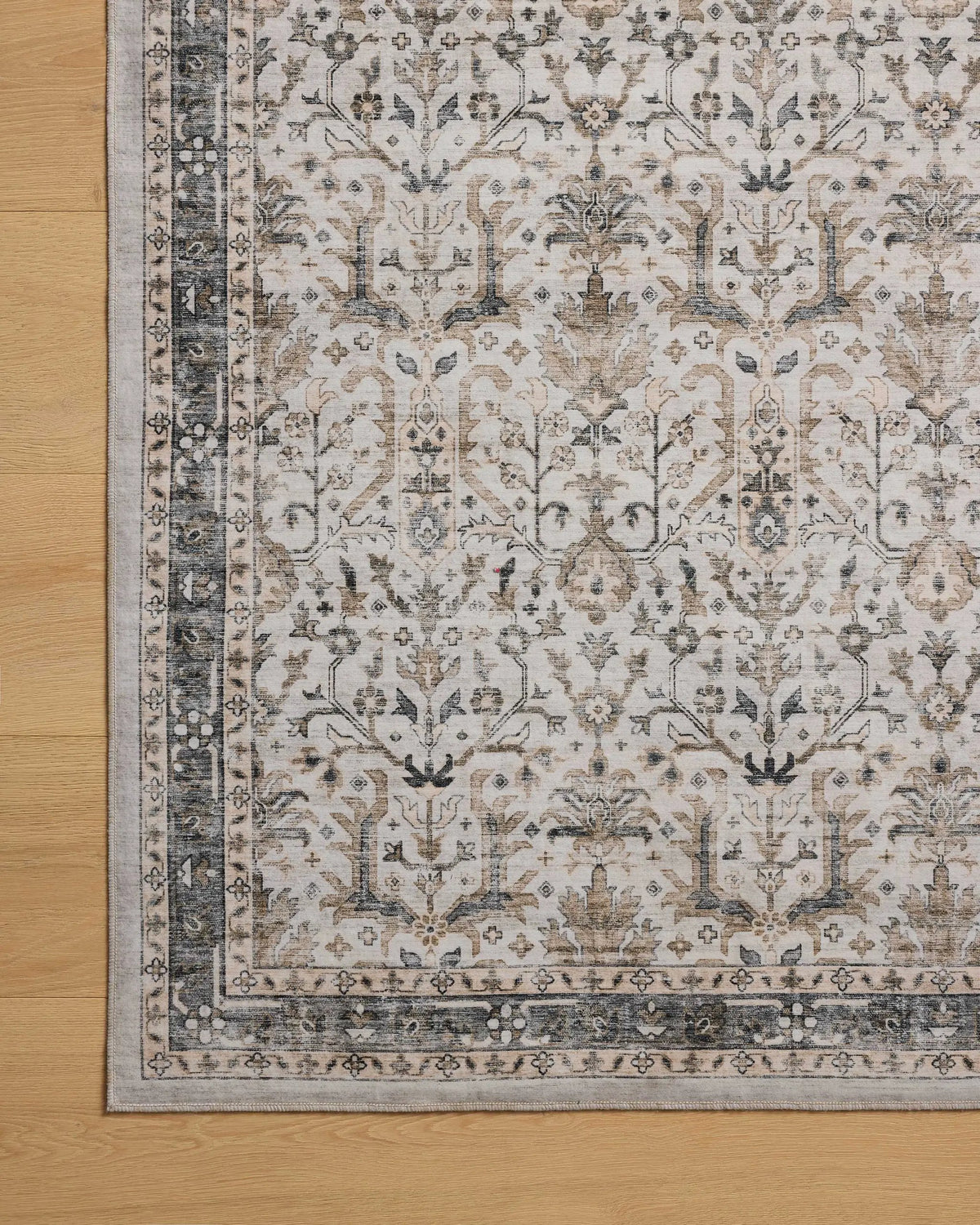 Anniston ANS-01 Ivory / Stone Area Rug by Loloi