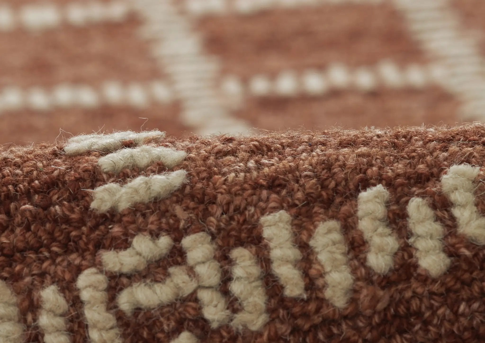 Archer ARC-3 Rust Area Rug by Momeni