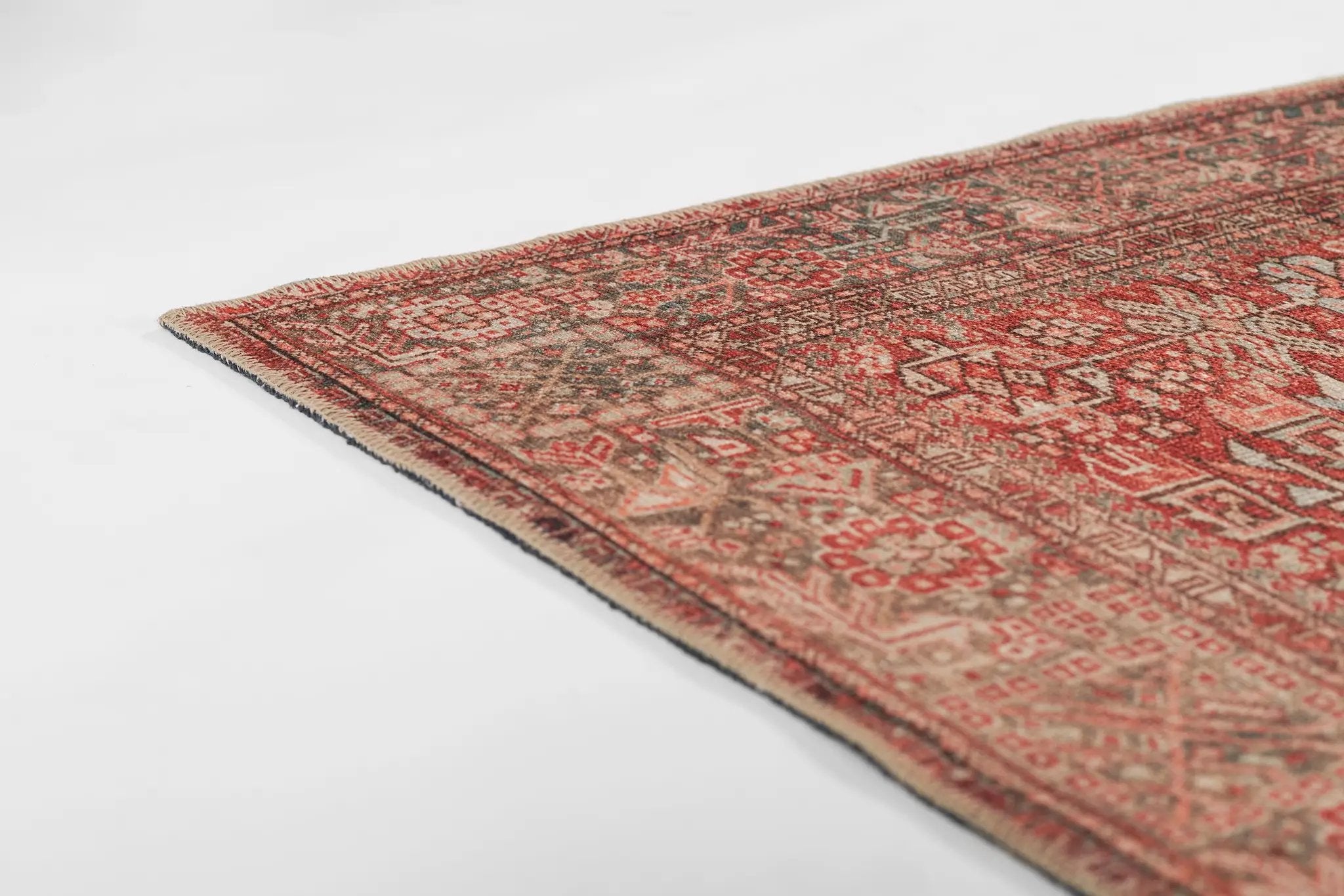 Ariana ARI-2 Red Area Rug by Momeni