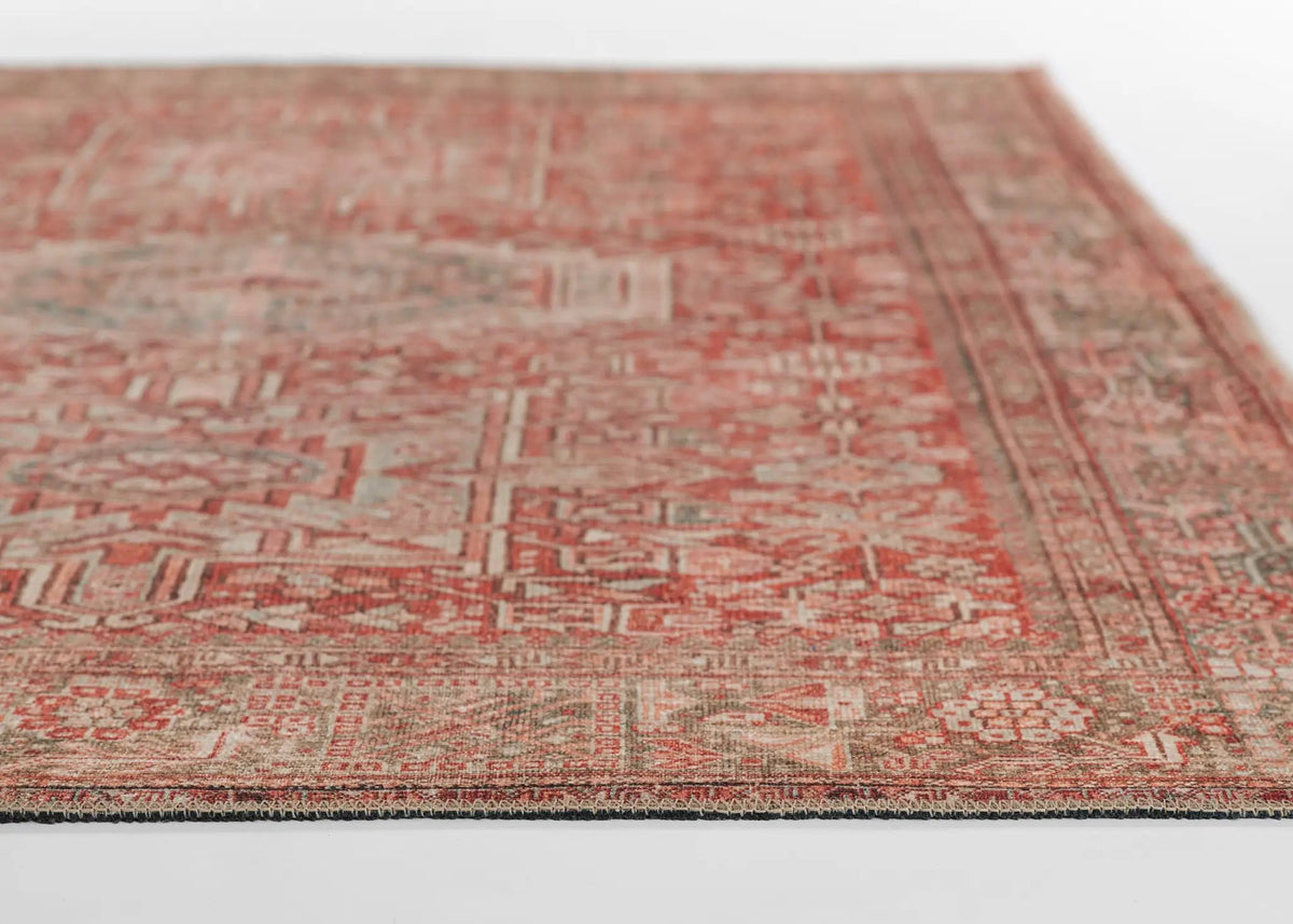 Ariana ARI-2 Red Area Rug by Momeni