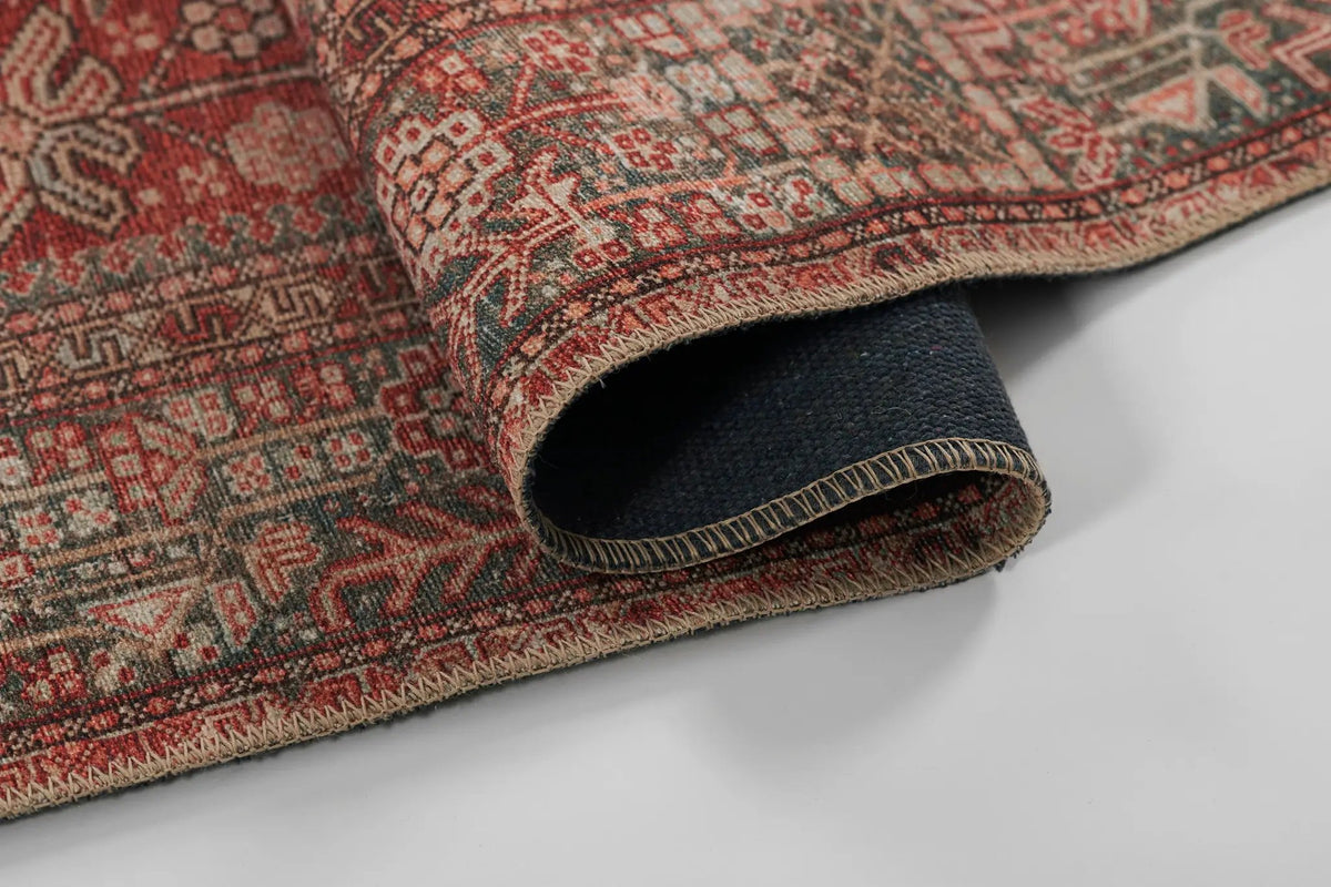 Ariana ARI-2 Red Area Rug by Momeni