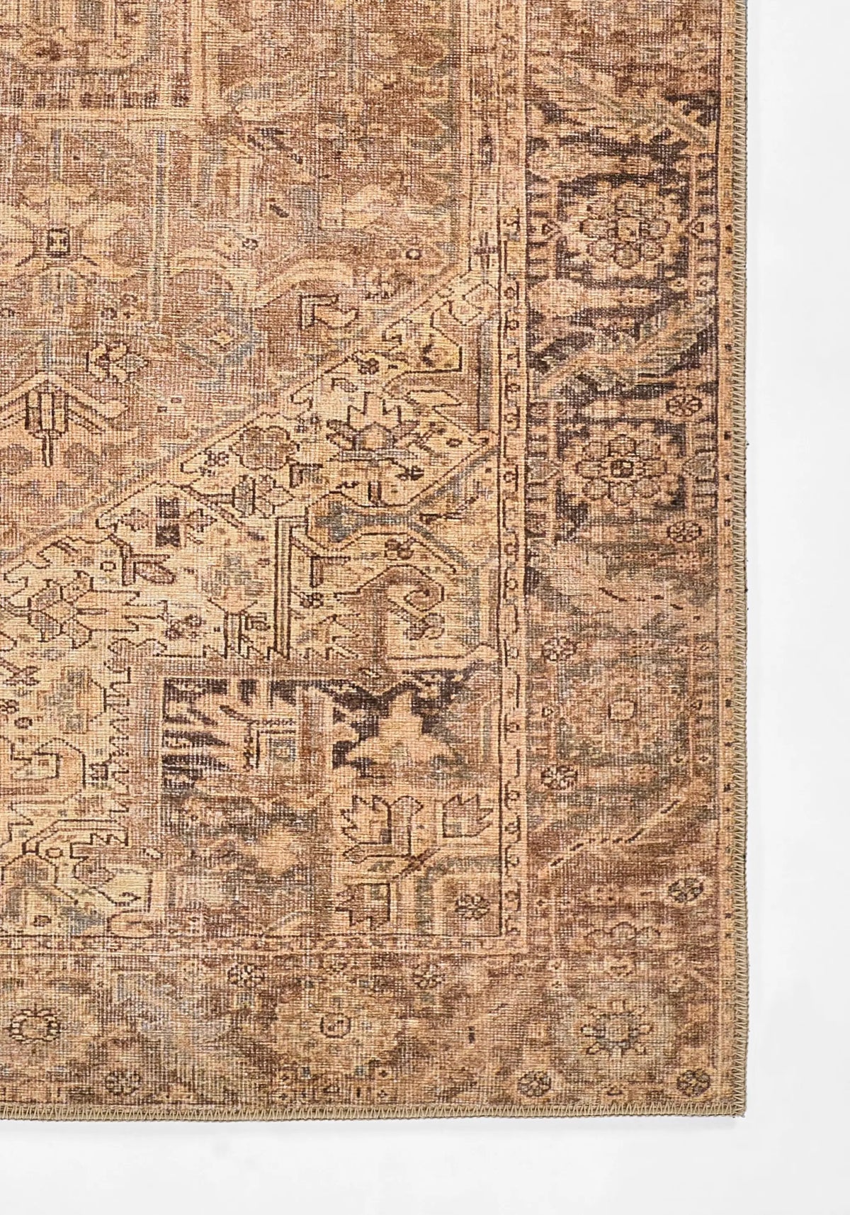 Ariana ARI-3 Brown Area Rug by Momeni