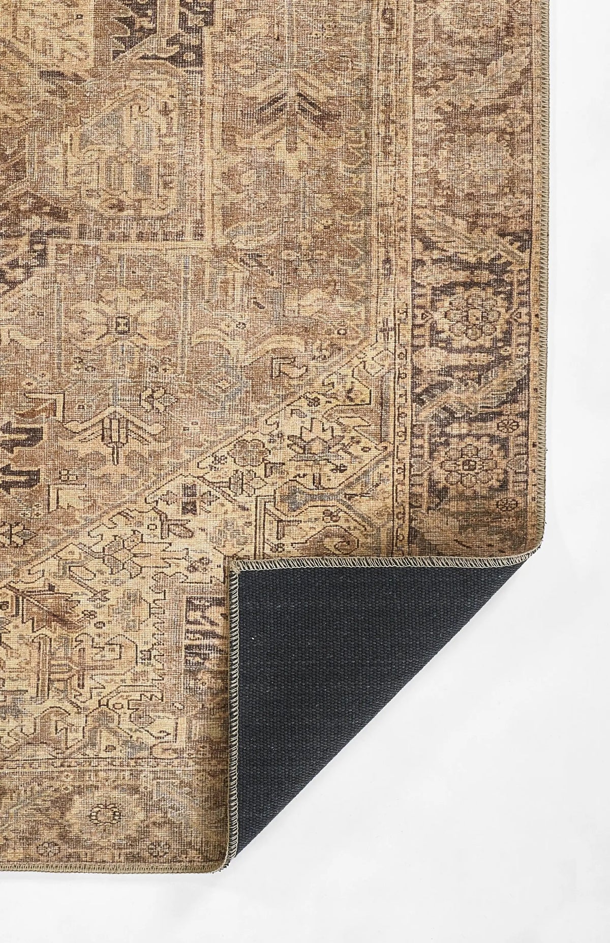 Ariana ARI-3 Brown Area Rug by Momeni