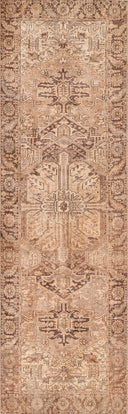 Momeni Ariana ARI-3 Brown Area Rug