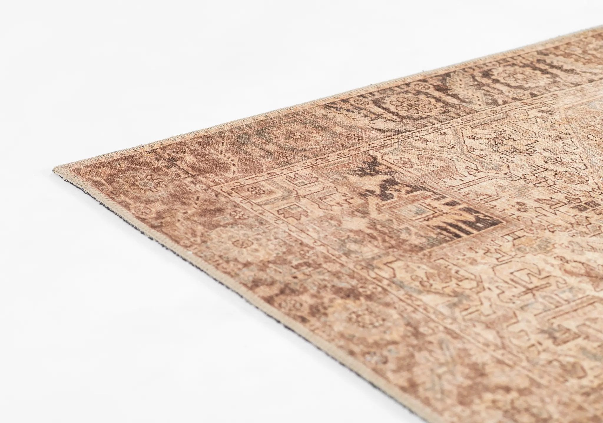Ariana ARI-3 Brown Area Rug by Momeni