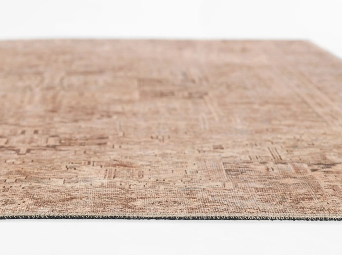 Ariana ARI-3 Brown Area Rug by Momeni