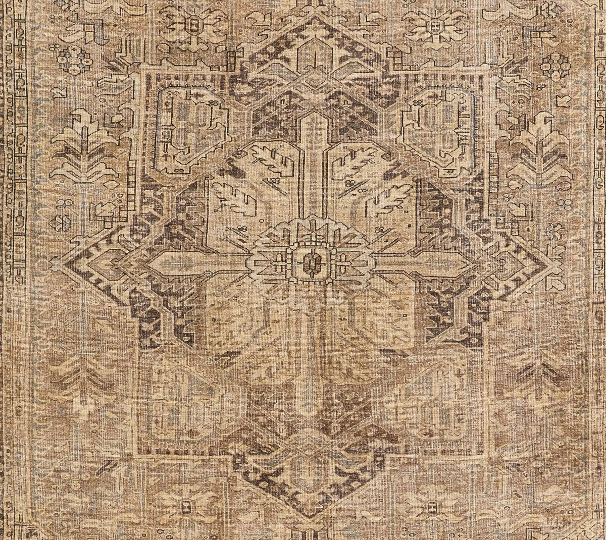 Ariana ARI-3 Brown Area Rug by Momeni