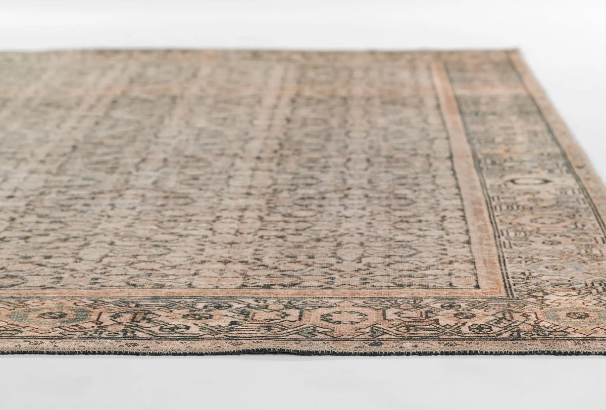 Ariana ARI-7 Charcoal Area Rug by Momeni