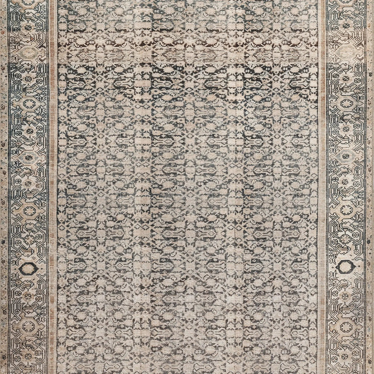 Ariana ARI-7 Charcoal Area Rug by Momeni