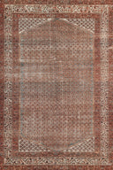 Ariana ARI-9 Rust Area Rug