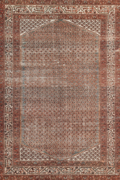 Momeni Ariana ARI-9 Rust Area Rug