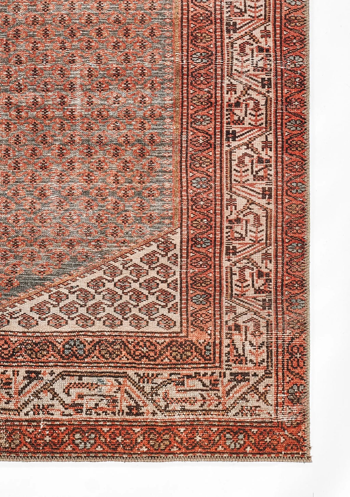 Ariana ARI-9 Rust Area Rug by Momeni