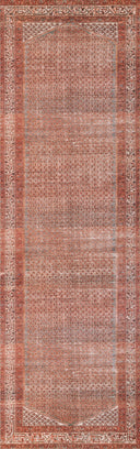 Momeni Ariana ARI-9 Rust Area Rug