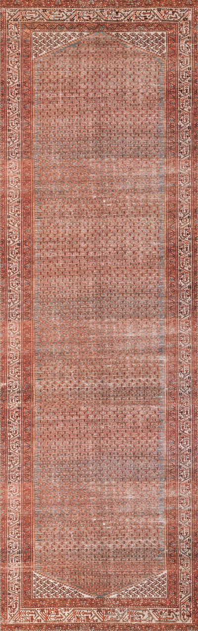 Momeni Ariana ARI-9 Rust Area Rug