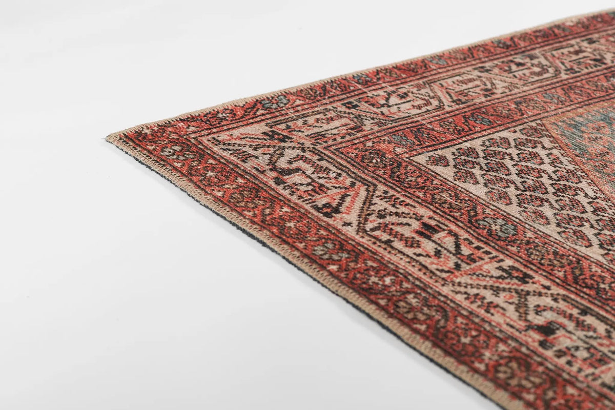 Ariana ARI-9 Rust Area Rug by Momeni
