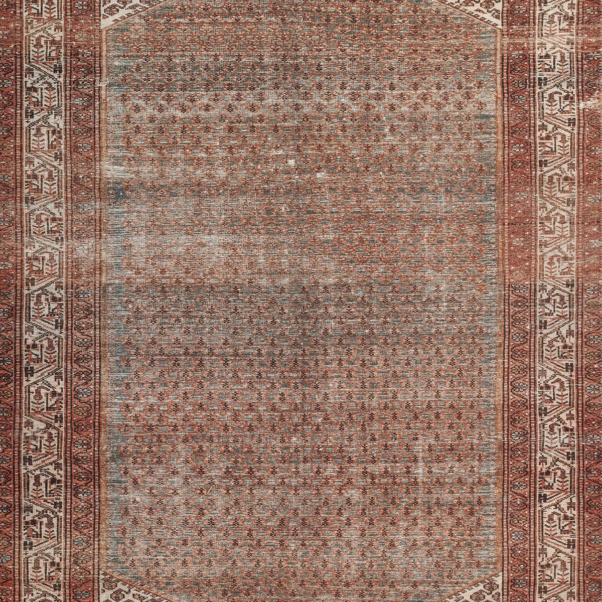 Ariana ARI-9 Rust Area Rug by Momeni