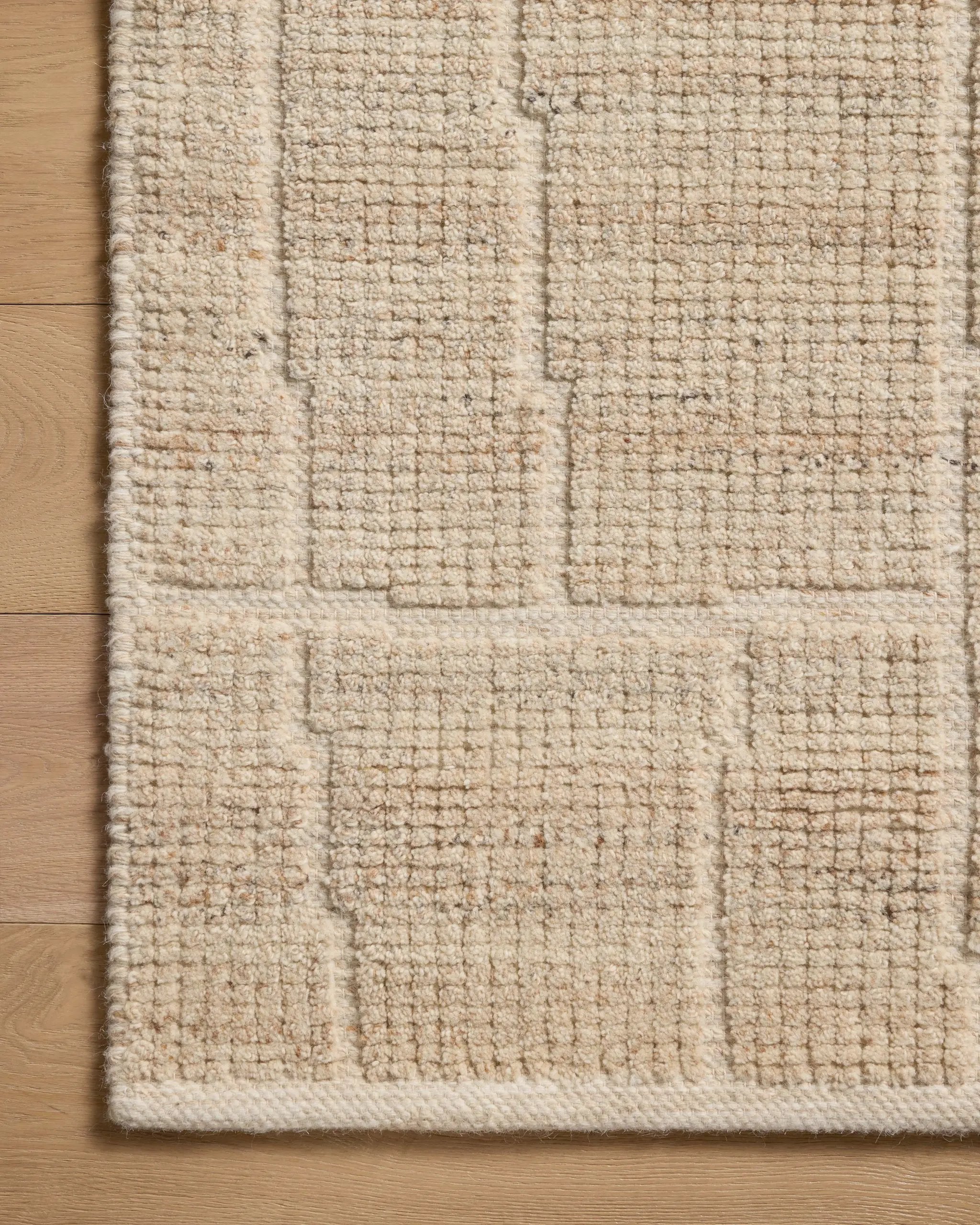 Asha ASA-01 Natural Area Rug by Loloi