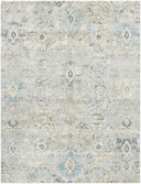 LIVABLISS Avellino AVL-2308 Light Gray Area Rug