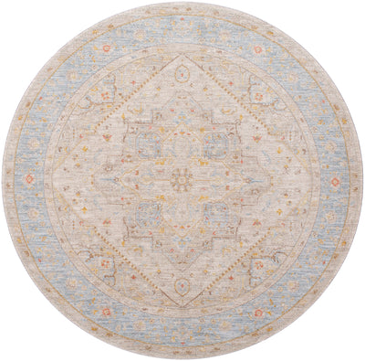 Surya Avant Garde AVT-2367 Taupe Area Rug by LIVABLISS
