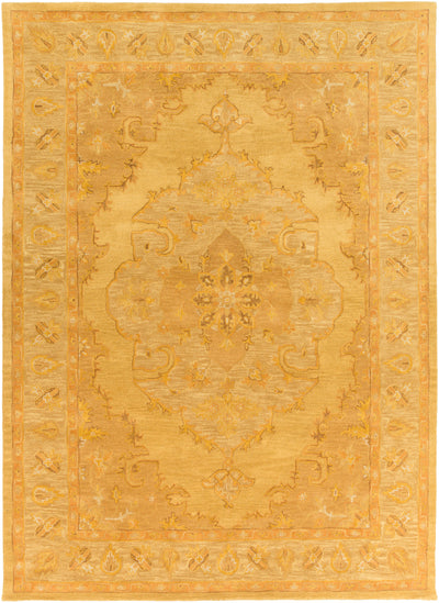 Surya Middleton AWHR-2059 Yellow Area Rug by LIVABLISS