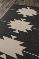 Momeni Baja BAJ34 Machine Made Indoor/Outdoor Area Rug