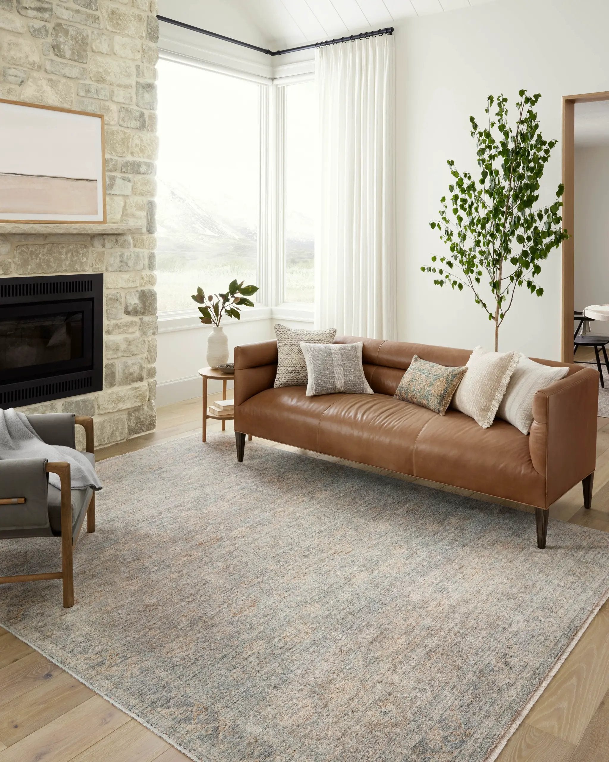 Blake BLA-01 Sky / Beige Area Rug by Angela Rose x Loloi