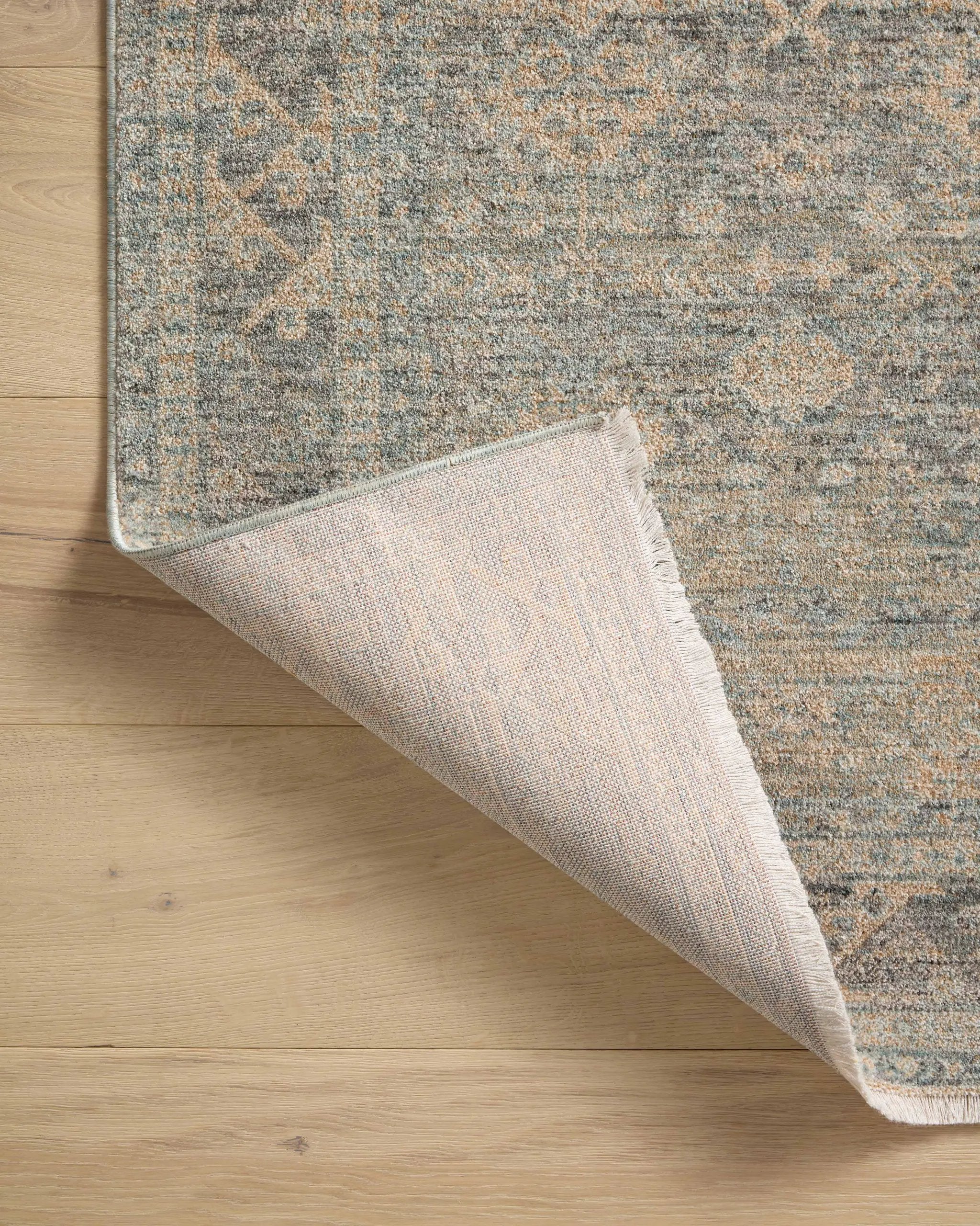 Blake BLA-01 Sky / Beige Area Rug by Angela Rose x Loloi
