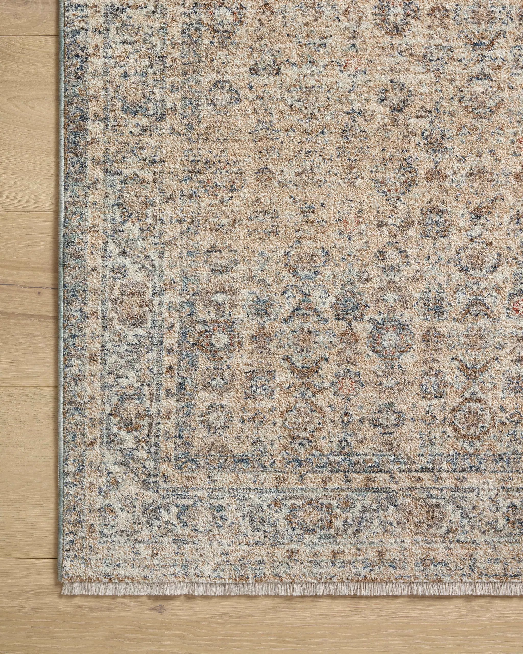 Blake BLA-04 Beige / Denim Area Rug by Angela Rose x Loloi
