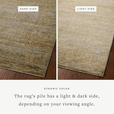 Jean Stoffer x Loloi Bradbury BRU-02 Dove / Gold Area Rug