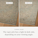 Finished in breezy sky-blue and lush moss tones with contemporary and traditional styling, the Briar BRR-01 Sky / Moss Area Rug is a power-loomed polyester area rug for modern living