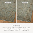 A power-loomed polyester area rug with contemporary and traditional design in aqua and earthy olive hues, the Briar BRR-02 Aqua / Olive Area Rug is a standout in any décor