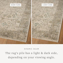 The Briar BRR-02 Ivory / Sage Area Rug highlights refined ivory and calming sage tones and contemporary and traditional texture in a beautifully made power-loomed polyester area rug