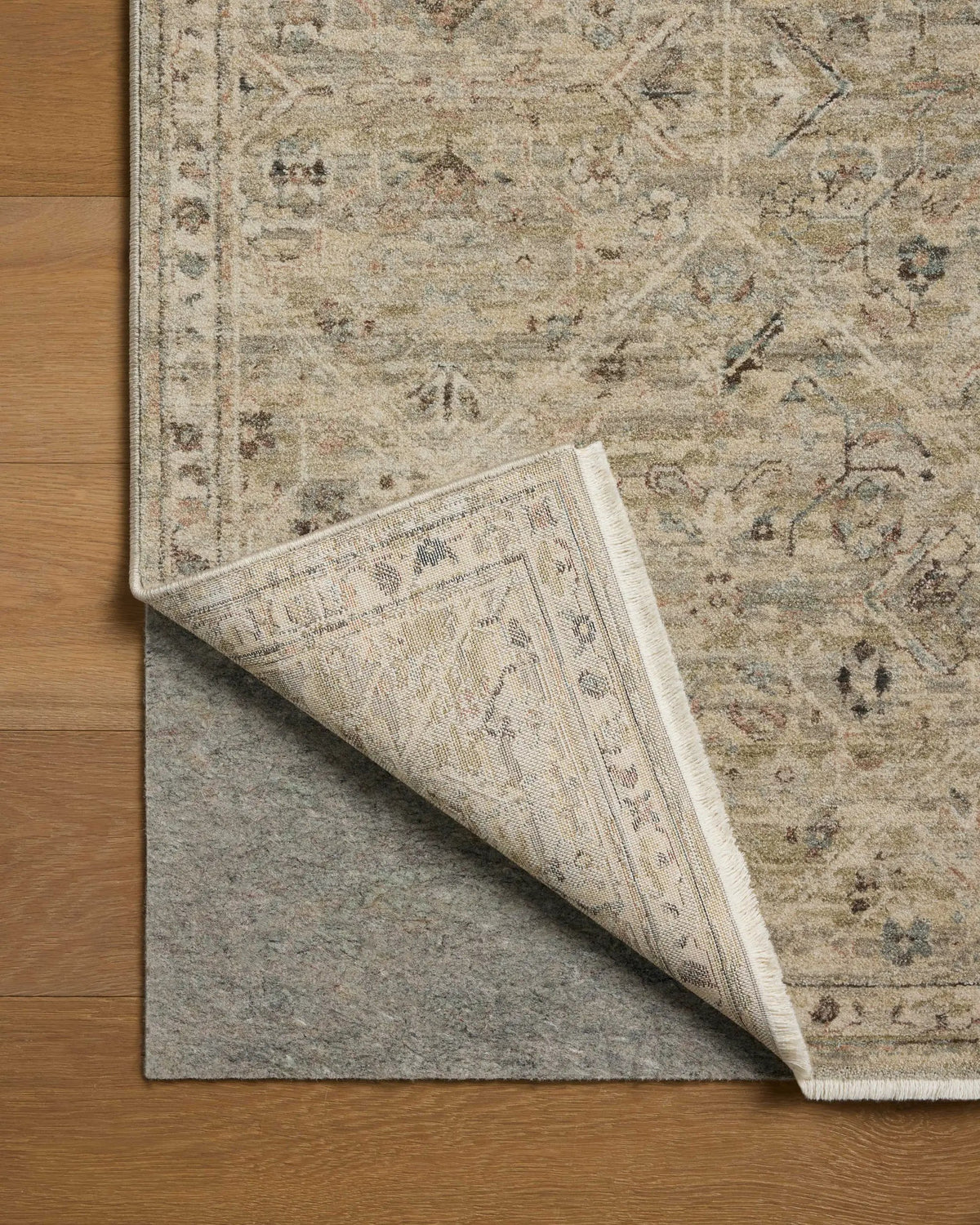 Briar BRR-03 Silver / Moss Area Rug by Loloi