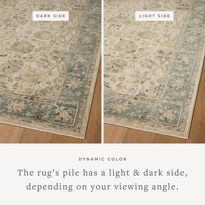 The Briar BRR-05 Ant. Ivory / Blue Area Rug is a power-loomed polyester area rug that radiates ant. ivory and calming blue charm and contemporary and traditional elegance