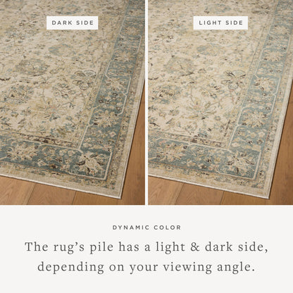 The Briar BRR-05 Ant. Ivory / Blue Area Rug is a power-loomed polyester area rug that radiates ant. ivory and calming blue charm and contemporary and traditional elegance