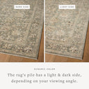 Layered in misty and sandy hues with contemporary and traditional patterns, the Briar BRR-05 Fog / Sand Area Rug is a power-loomed polyester area rug perfect for any setting