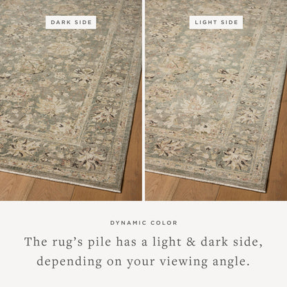 Layered in misty and sandy hues with contemporary and traditional patterns, the Briar BRR-05 Fog / Sand Area Rug is a power-loomed polyester area rug perfect for any setting