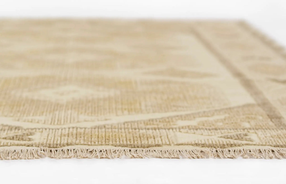 Bristol BRS-5 Natural Area Rug by Momeni