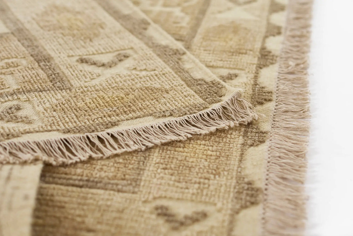Bristol BRS-5 Natural Area Rug by Momeni