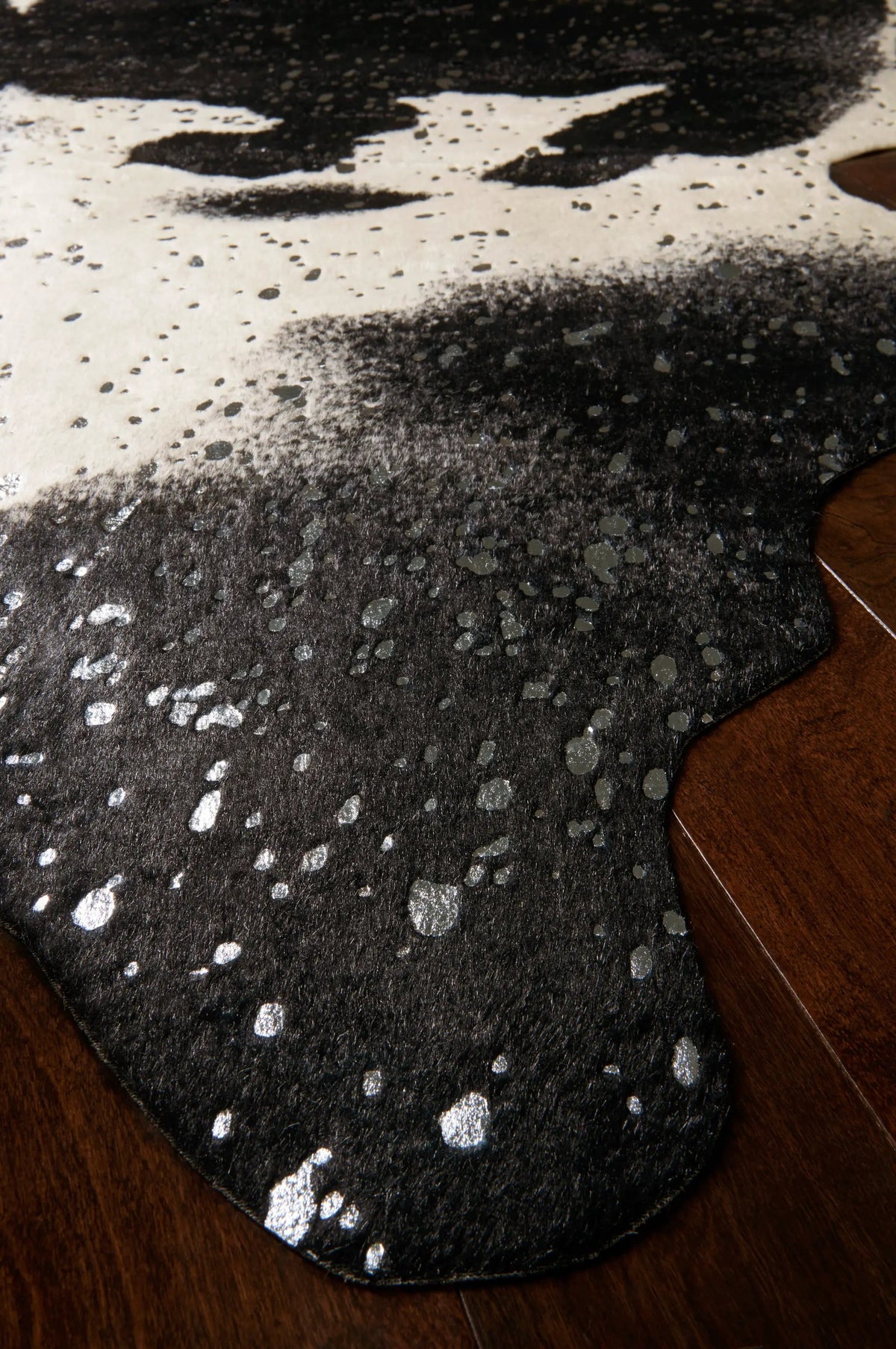 Bryce BZ-01 Black / Silver Area Rug by Loloi