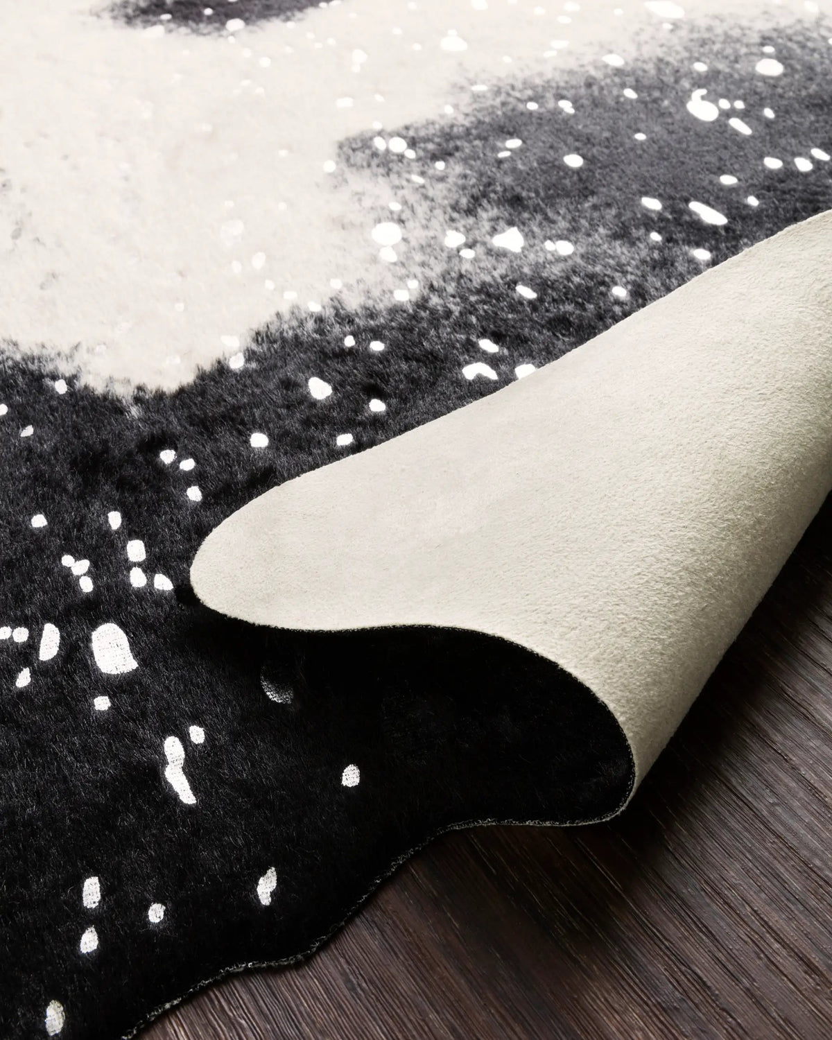 Bryce BZ-01 Black / Silver Area Rug by Loloi