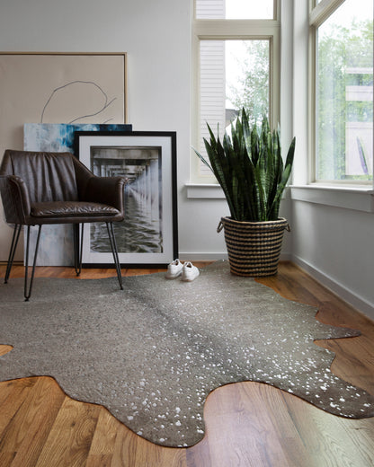 Loloi Bryce BZ-03 Graphite / Silver Area Rug