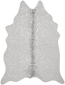Loloi Bryce BZ-09 Stone / Silver Area Rug
