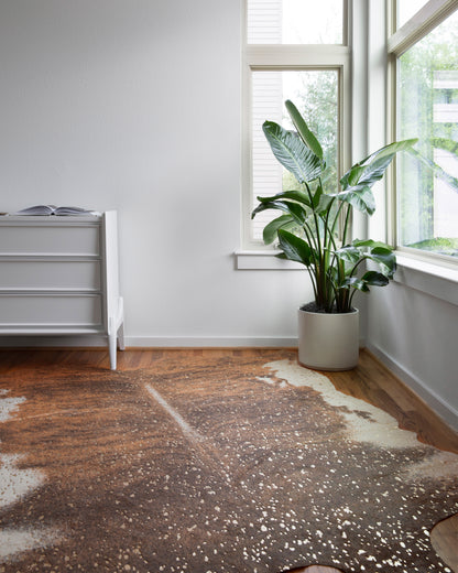 Loloi Bryce BZ-10 Walnut / Champagne Area Rug