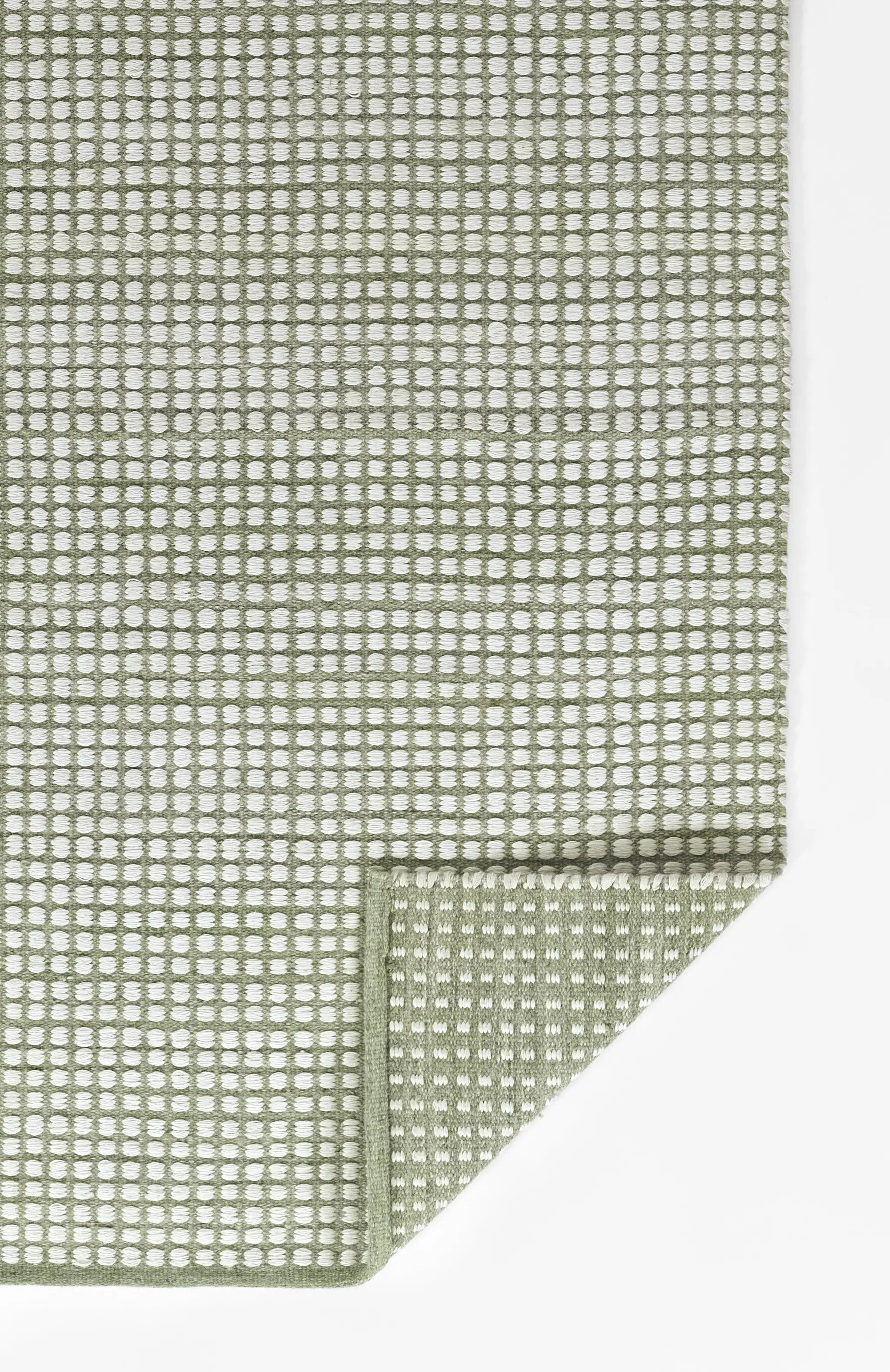Caicos CAI-1 Green Area Rug by Momeni