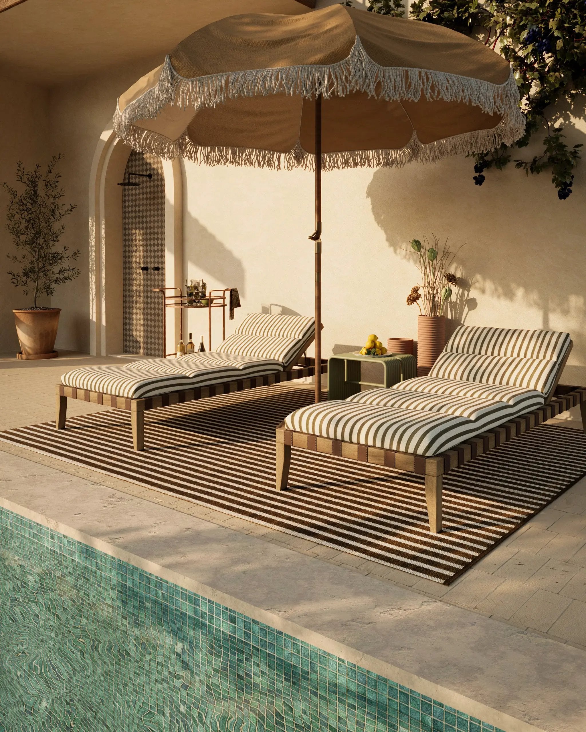 Caicos CAI-4 Brown Area Rug by Momeni