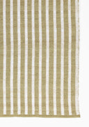 Caicos CAI-4 Green Area Rug, nature-inspired sustainable PET flatwoven rug