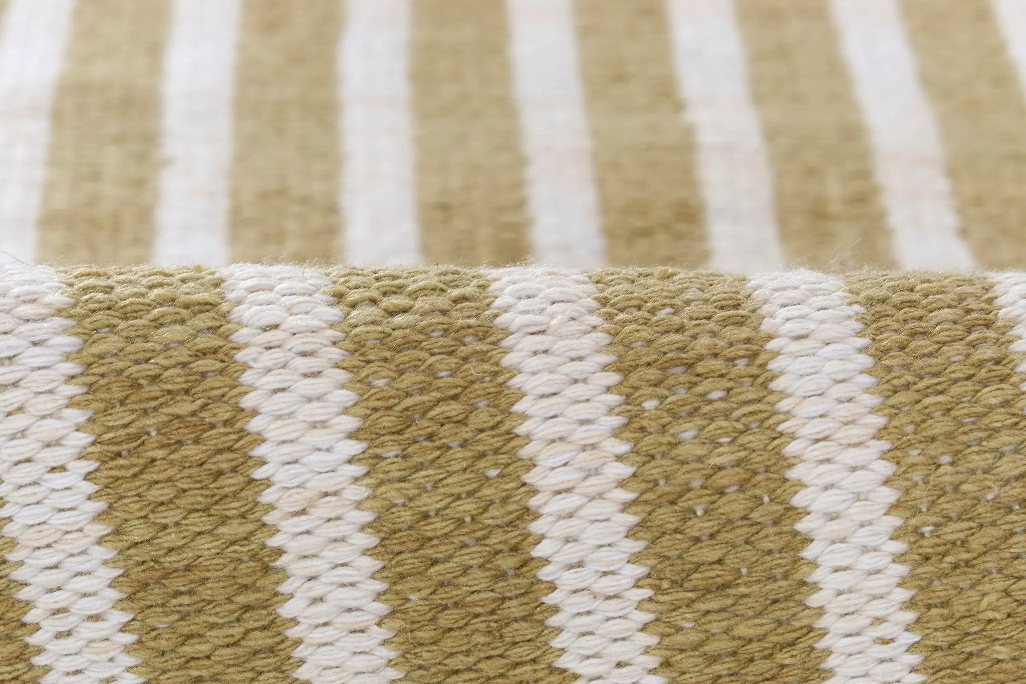 Caicos CAI-4 Green Area Rug by Momeni